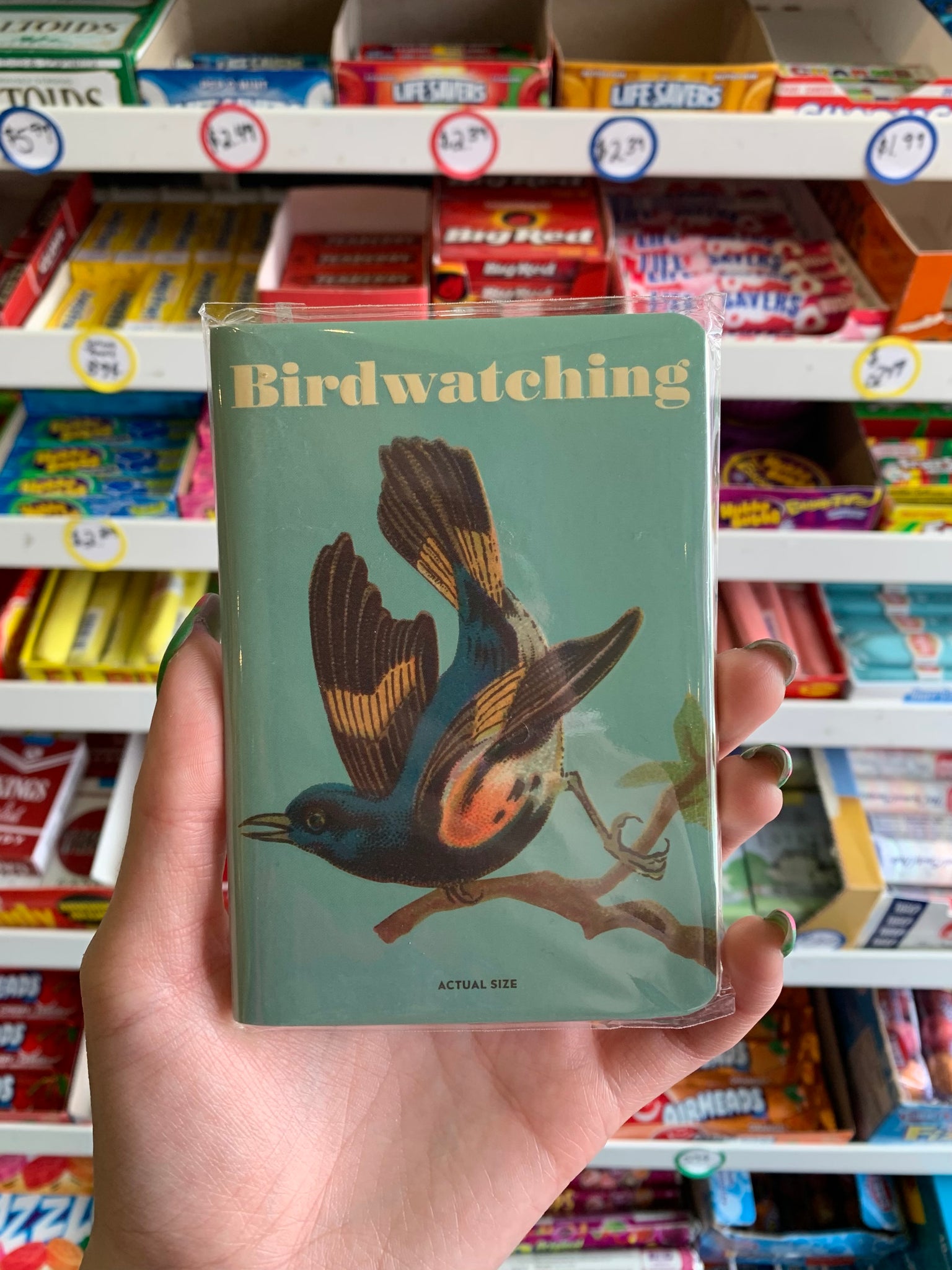 Birdwatching notebook